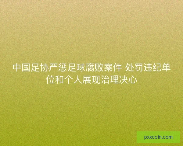 中国足协严惩足球腐败案件 处罚违纪单位和个人展现治理决心